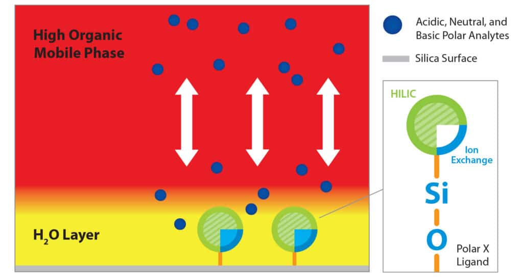 Trennen Sie eine Vielzahl von polaren Analyten mit einer neuartigen stationären Hybridphase - figure article GNSS3195 02