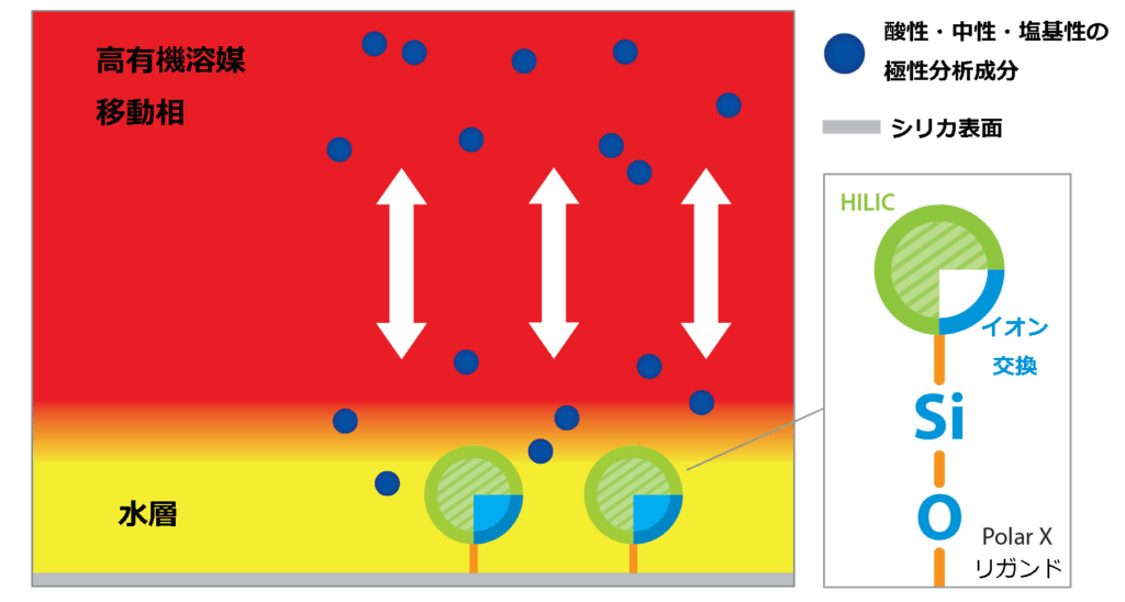 figure article GNSS3195 02JP suzu