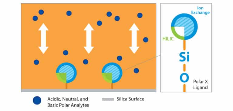 Raptor Polar X: Separa una vasta gamma di analiti polari con un’innovativa fase stazionaria ibrida - figure article GNSS3195 03