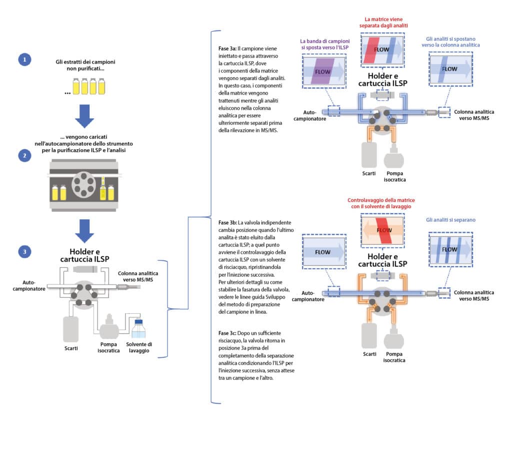 figure article fsss3549 02 IT