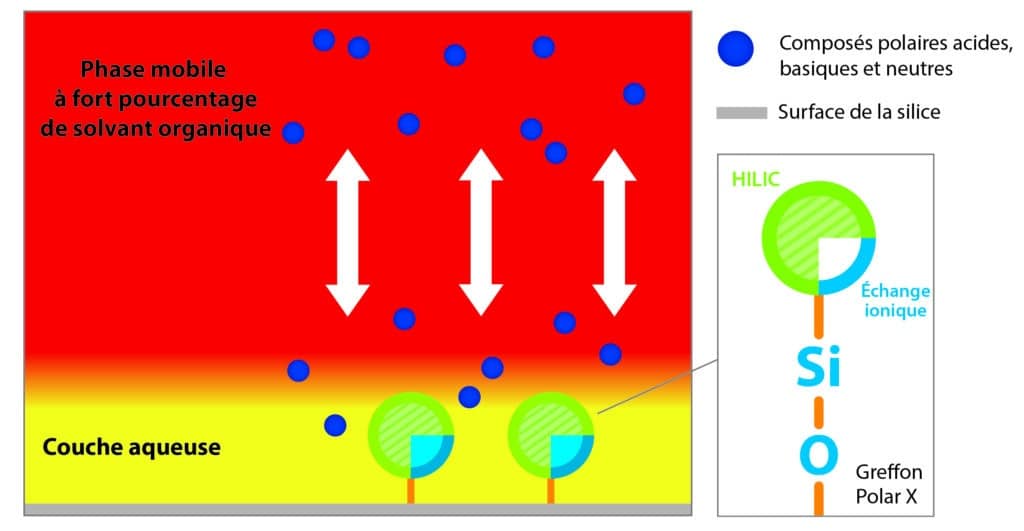 Raptor Polar X : analysez une large gamme de composés polaires à l’aide d’une nouvelle phase stationnaire hybride - figure article gnss3195 02 fr