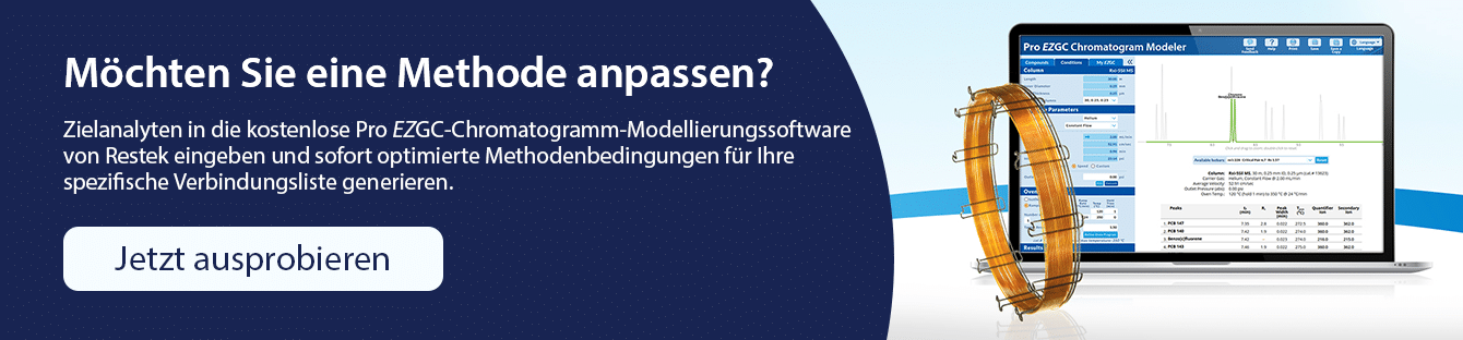 RMX Graphic Ad EZGC HTML Block DE