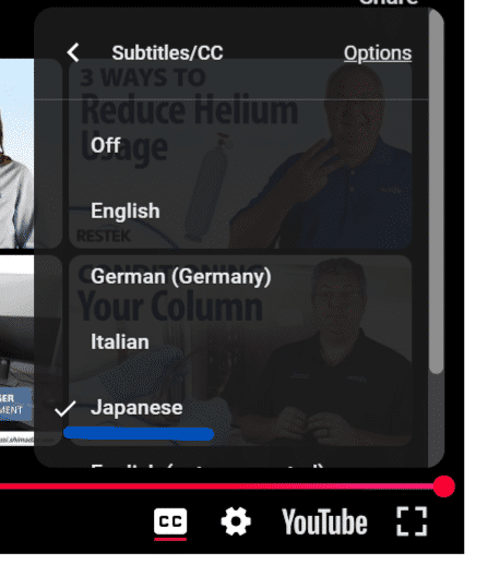 VIDEO SUBTITLES JAPANESE ２
