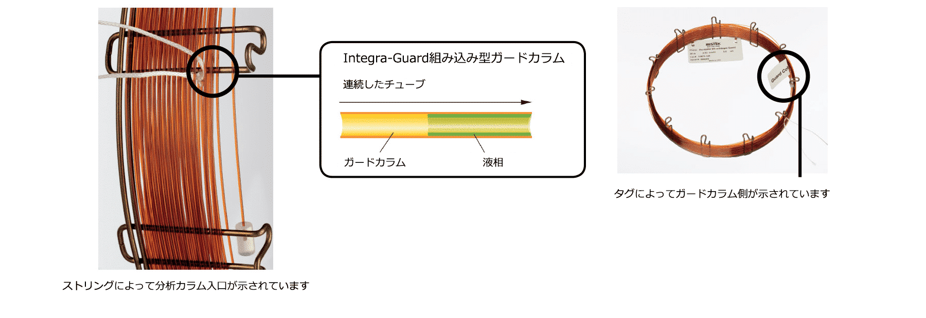 Integra-Guard column attached to a GC column.