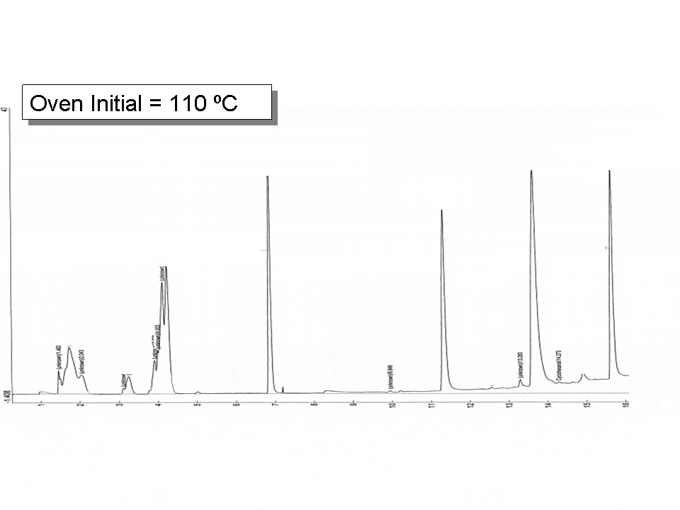 chromatogram showing broadened early eluting peaks at 110°C
