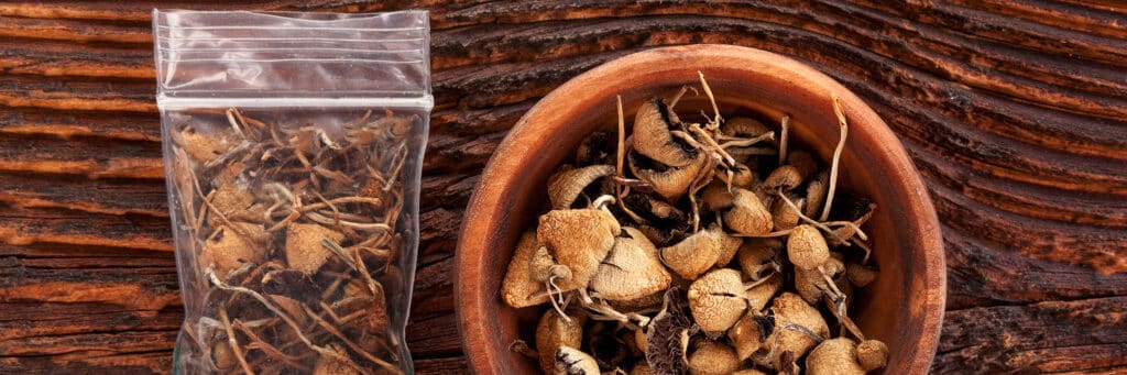 Are Psilocin and Psilocybin Tripping up your LC Method Development? - Dry psilocybin magic mushrooms in plastic bag and wooden bowl on brown table. Medical alternative remedy.