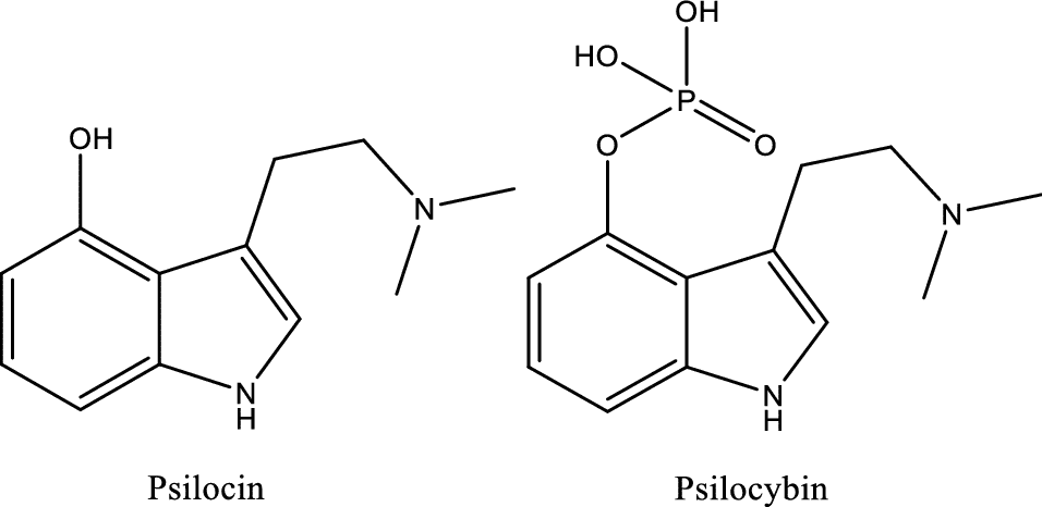 Are Psilocin and Psilocybin Tripping up your LC Method Development? - decorative