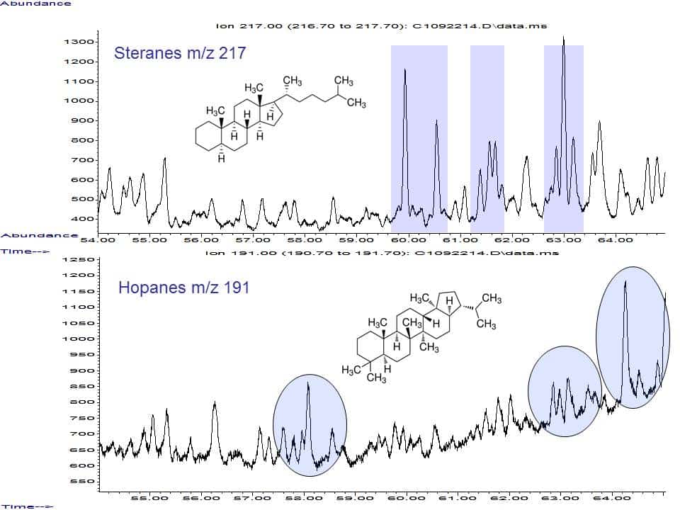 Book Review: Echoes of Life: What Fossil Molecules Reveal about Earth History. - blog book review hope191ster217