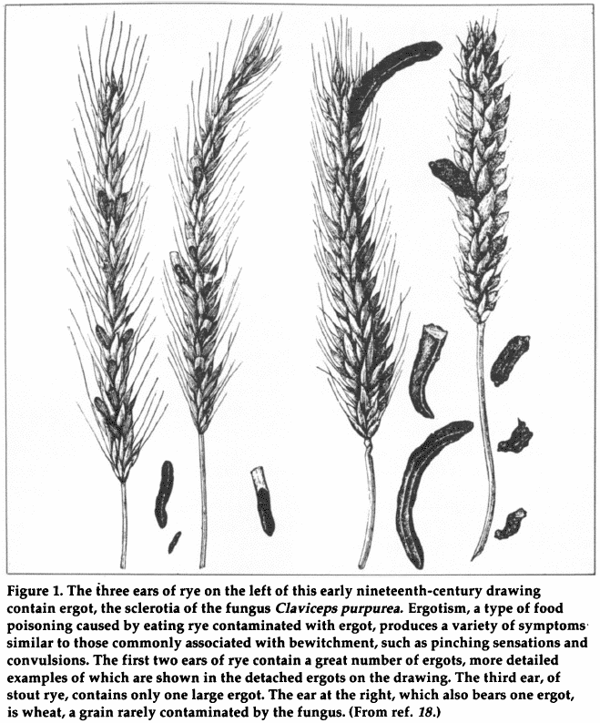 Can new EU Regulations prevent another witch trial? - blog-can-new-EU-regulations-prevent-another-witch-trial-01.png