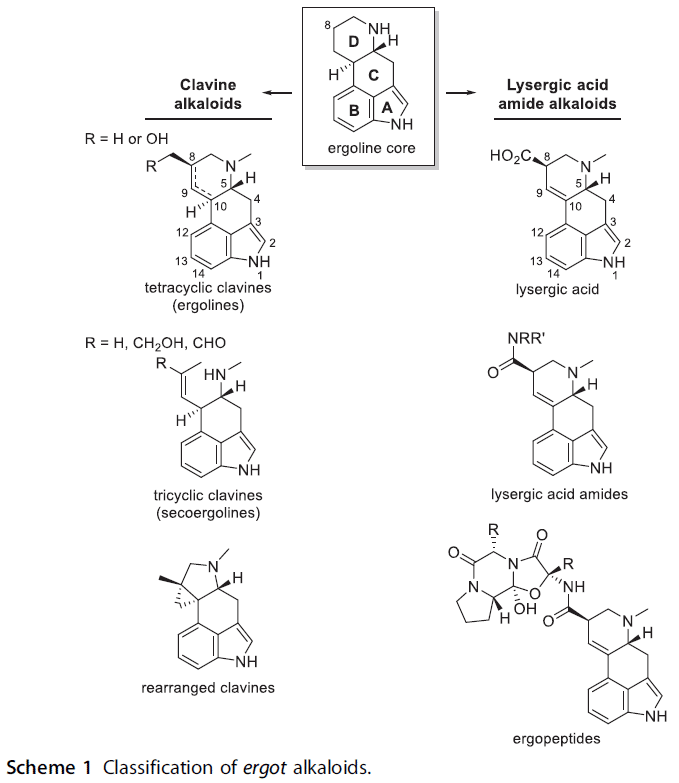 Can new EU Regulations prevent another witch trial? - blog-can-new-EU-regulations-prevent-another-witch-trial-02.png