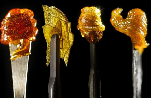 Cannabis Concentrates Part I: Introduction to Residual Solvents - blog cannabis concentrates part i introduction to residual solvents 01
