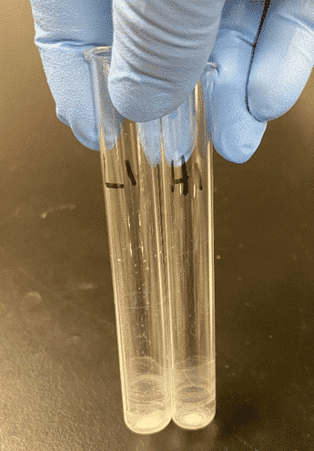 Choosing the Right Elution Solvent When Using Support Liquid Extraction (SLE) - blog choosing the right elution solvent when using sle 01