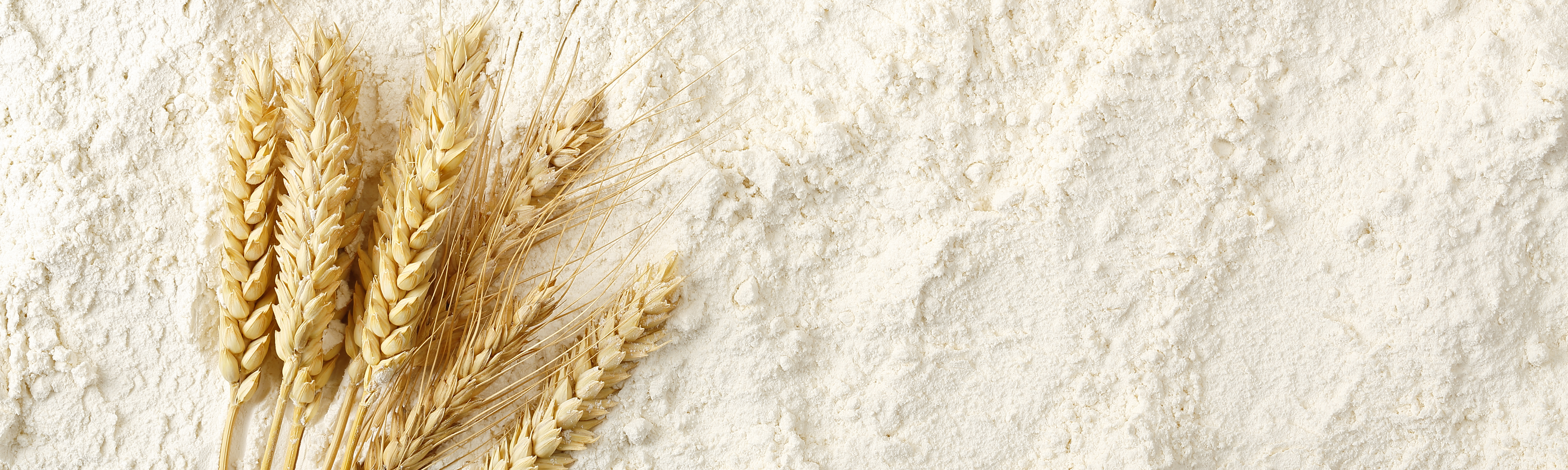 Do You Want to Add <em>Alternaria</em> Toxins and Ergot Alkaloids in Your Multi-Mycotoxin Analysis? Part 3: Matrix Effect and Quantitative Standard Calibration - blog-do-you-want-to-add-alternaria-toxins-and-ergot-alkaloids-in-your-multi-mycotoxin-analysis-part-3-matrix-effect-and-quantitative-standard-calibration-01.jpg