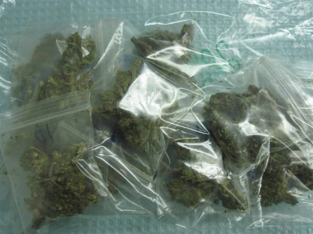 First QuEChERS Extraction of Marijuana with GCxGC-TOFMS Analysis, dudes… - blog first quechers extraction of marijuana with gcxgc tofms analysis dudes 01