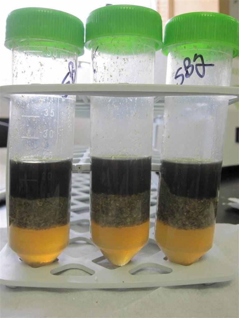 First QuEChERS Extraction of Marijuana with GCxGC-TOFMS Analysis, dudes… - blog first quechers extraction of marijuana with gcxgc tofms analysis dudes 05