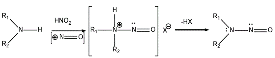 Structure of nitrosamine formation.