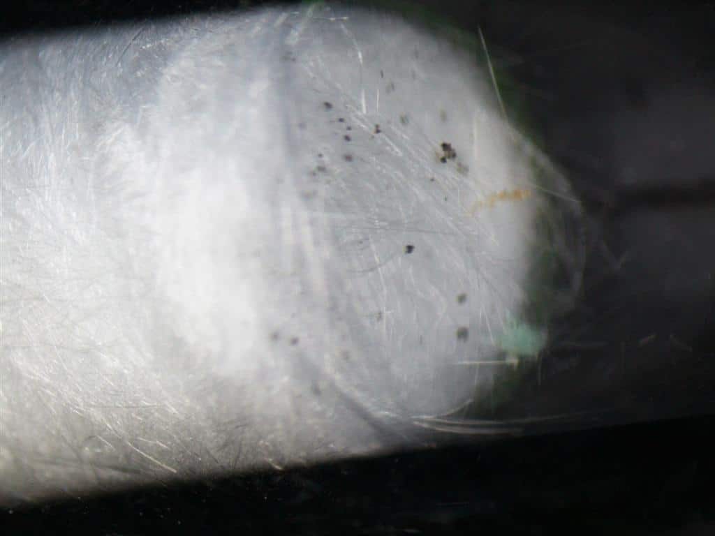 blog using a merlin microseal septum to reduce endrin and ddt breakdown for epa method 8081b organochlorine pesticides by gas chromatography 04