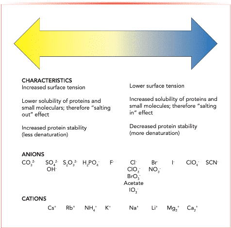 blog what is salle figure 2