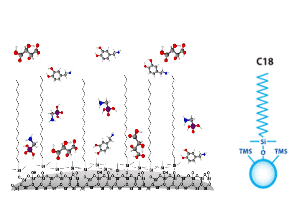 Why Biphenyl is a very interesting primary choice as stationary phase in LC. - blog why biphenyl is a very interesting primary choice as stationary phase in lc 02