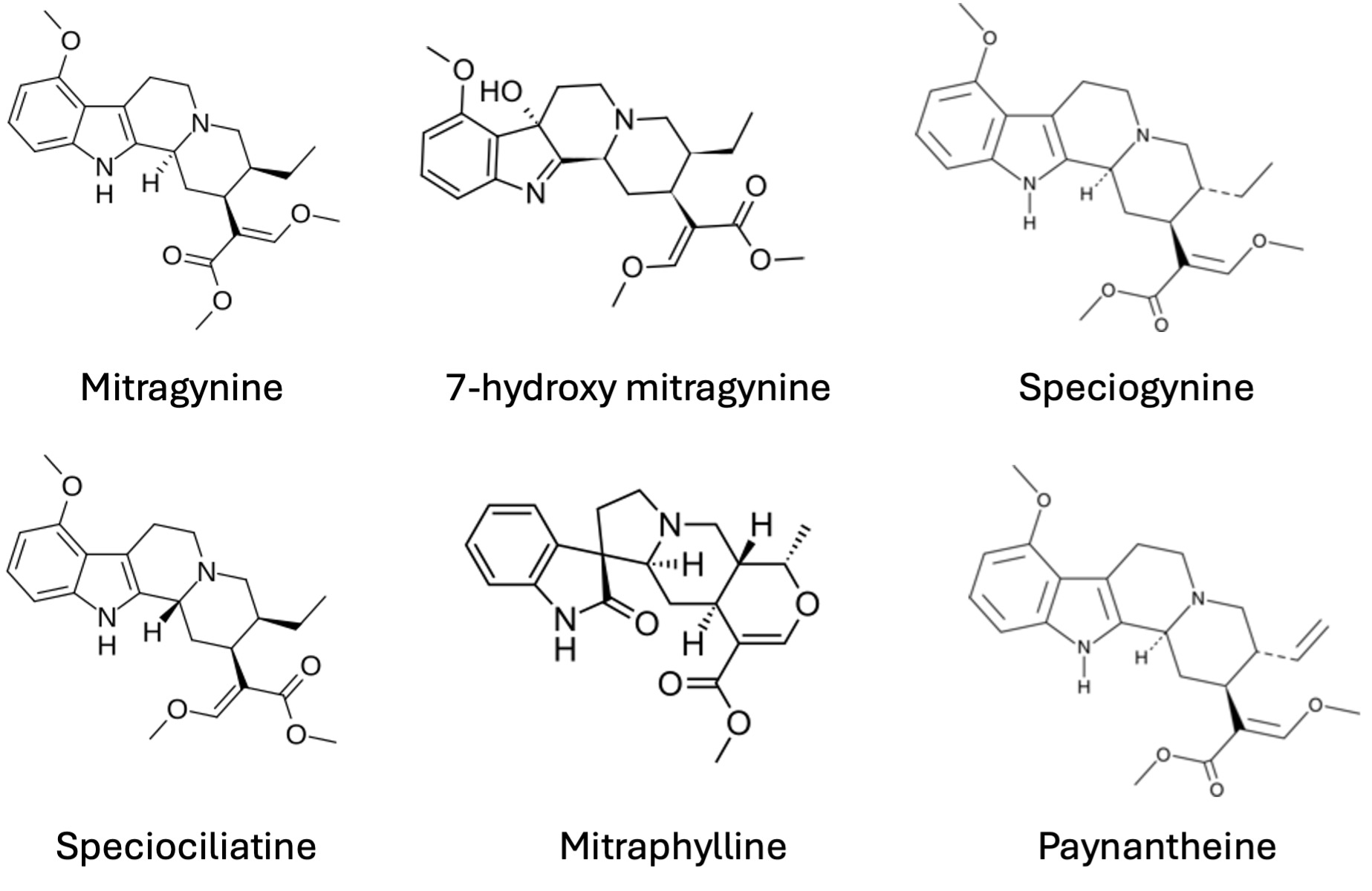 blog Kratom 1