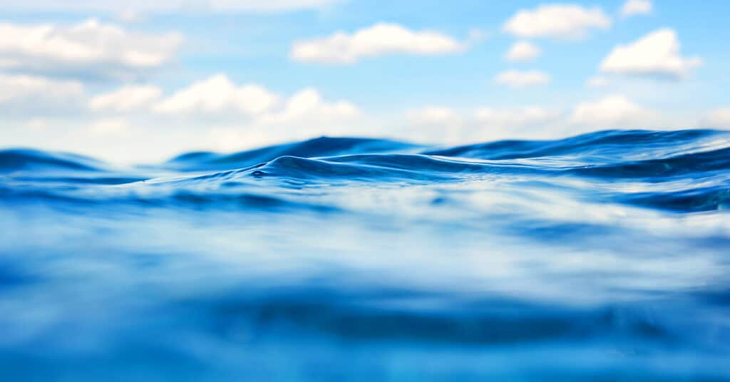 Analysis of Ultrashort-Chain and Short-Chain (C1 to C4) PFAS in Water Samples - feature EVAN4055