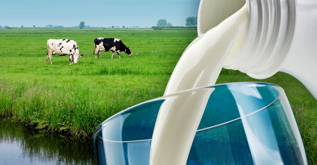 Analysis of PFAS in Milk by LC-MS/MS - feature FSAN4338