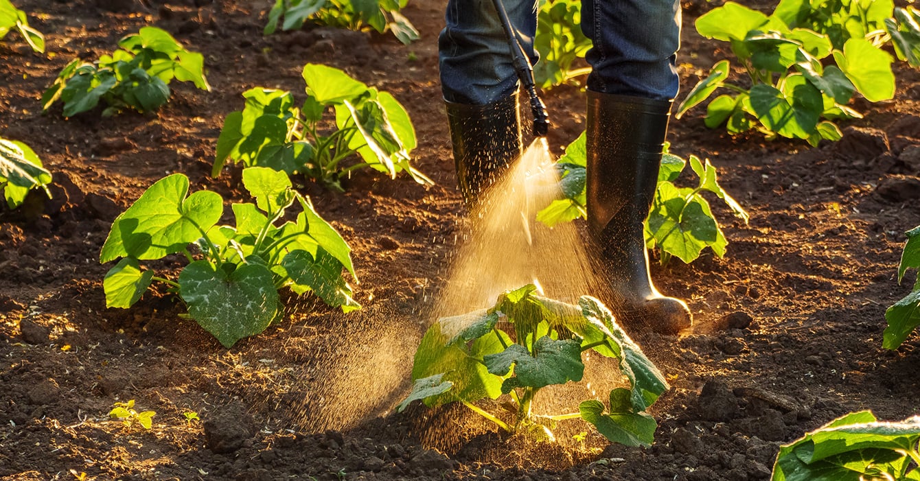 crop being sprayed with pesticides