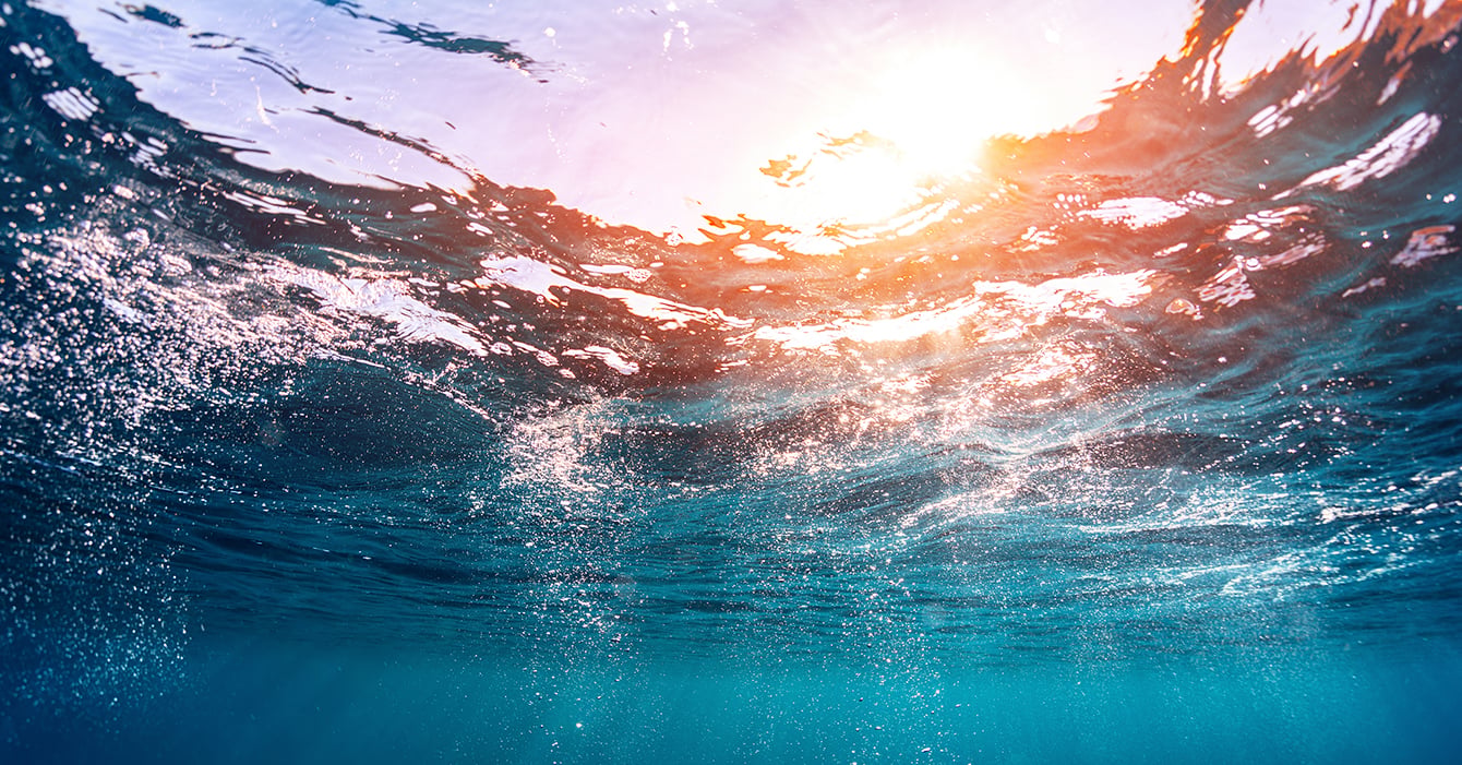 underwater photo