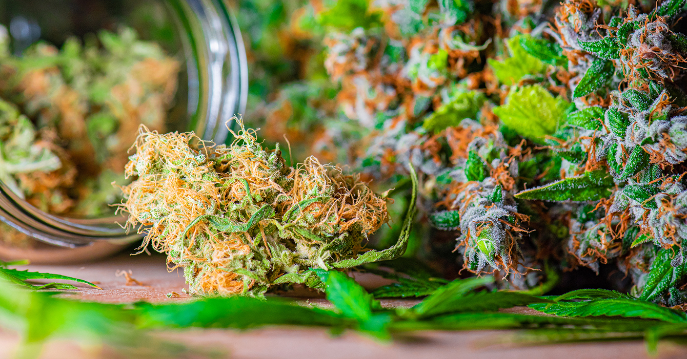 cannabis flowers for the analysis of pesticides in cannabis