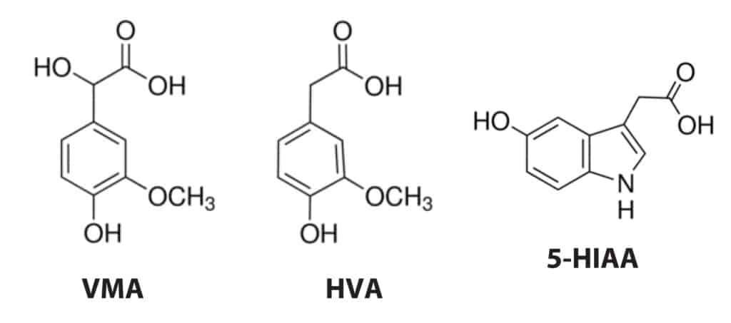 figure article CFAN2465 01