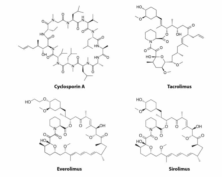 High-Throughput Analysis of Immunosuppressive Drugs from Whole Blood by LC-MS/MS - figure article CFAN2666 01