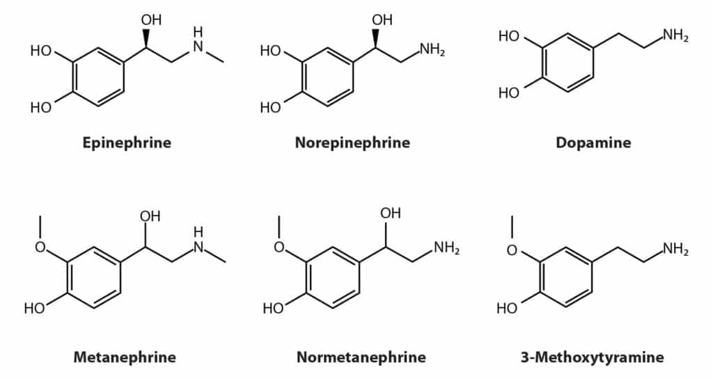 figure article CFAN2800 01