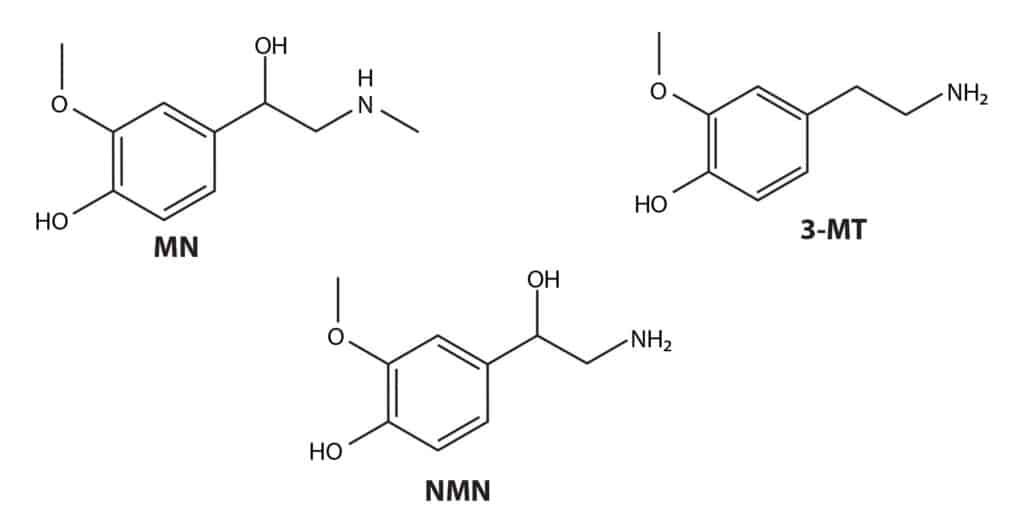 figure article CFAN2801 01