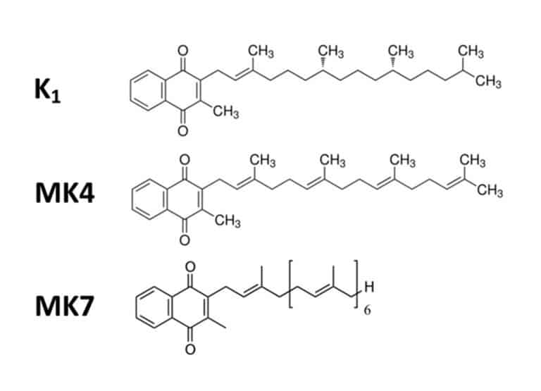 figure article CFAN2934 01