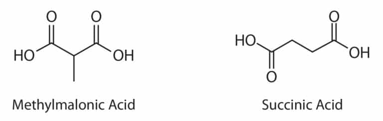 Evaluation of a Simple Method for Methylmalonic Acid Analysis in Human Plasma by LC-MS/MS - figure article CFAN3010 01