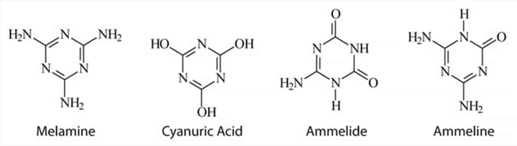 figure article FFAN1137A 01