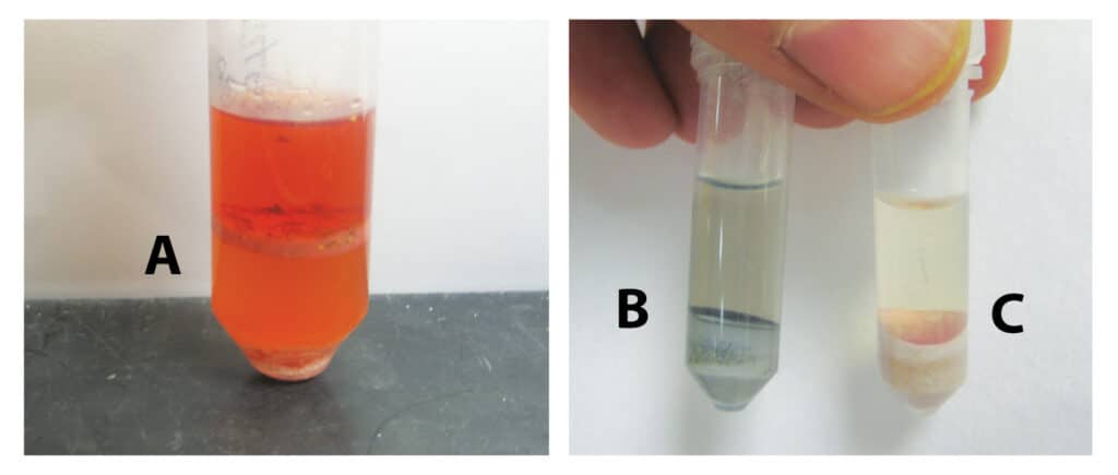 figure article FFAN1321 01