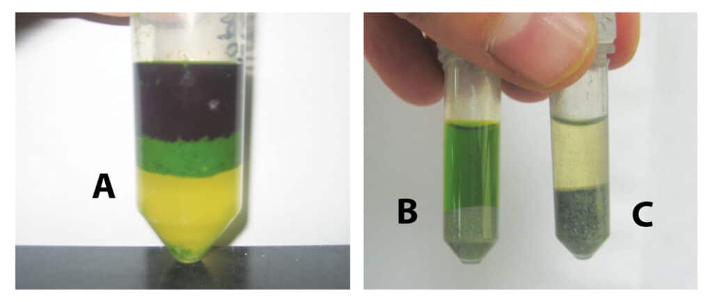 figure article FFAN1321 04