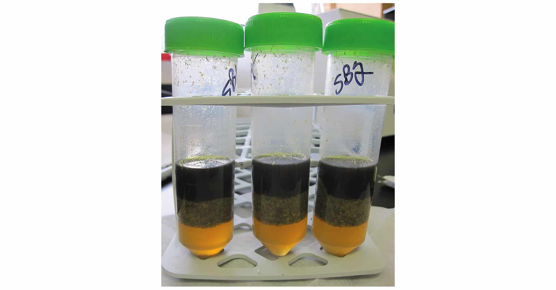 figure article FFAR1950 01A