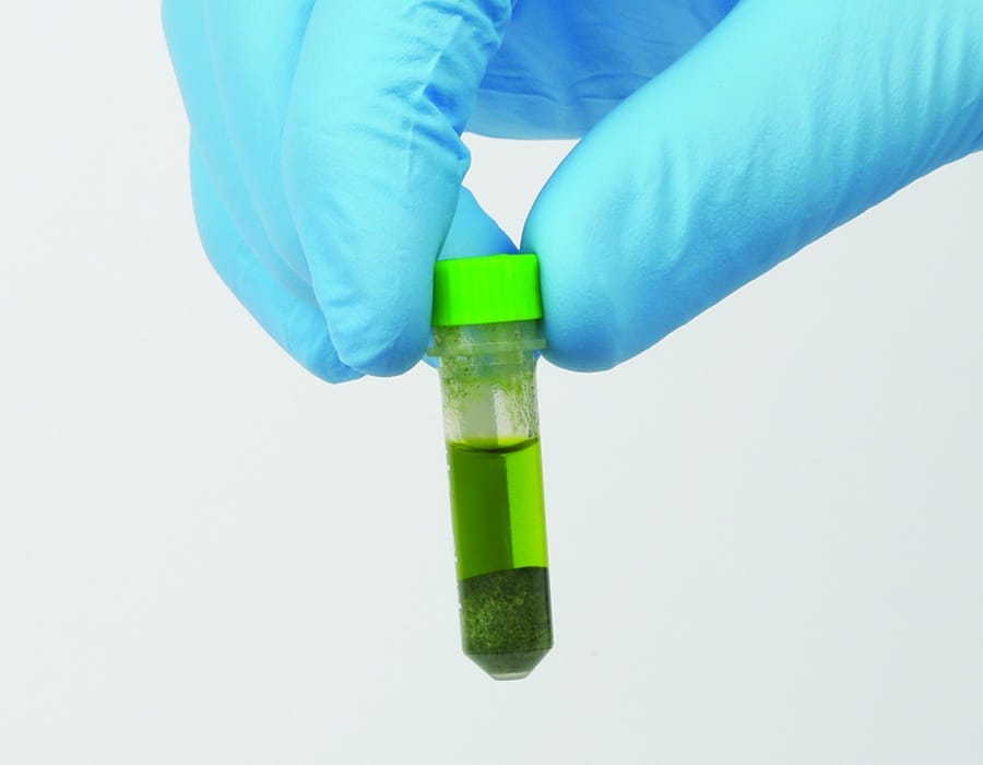 figure article FFSS1183G 05