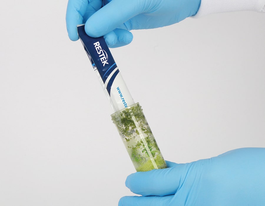 figure article FFSS1183H 03