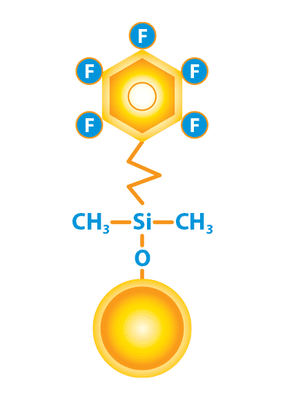 Raptor FluroPhenyl LC column structure
