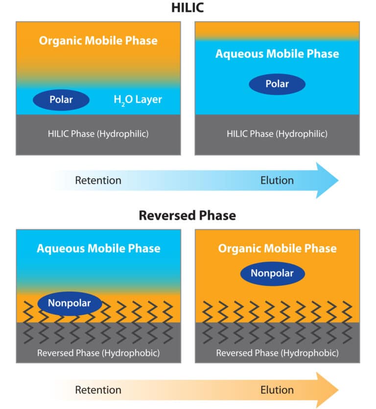 How to Avoid Common Problems with HILIC Methods - figure article GNAR2716 01