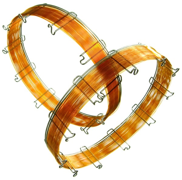 figure article GNBR1843A 01