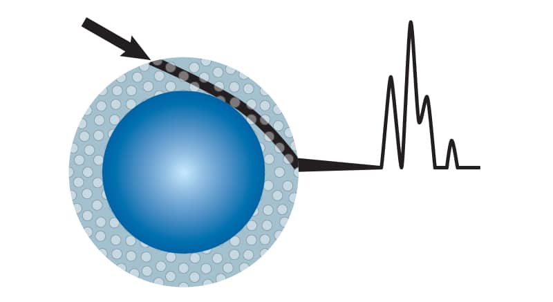 Raptor LC Columns: Selectivity Accelerated - figure article GNSS1895E 01B