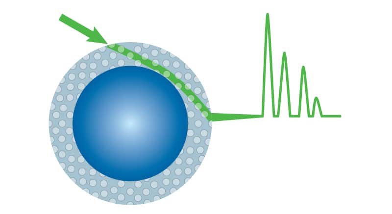 Raptor LC Columns: Selectivity Accelerated - figure article GNSS1895E 01C