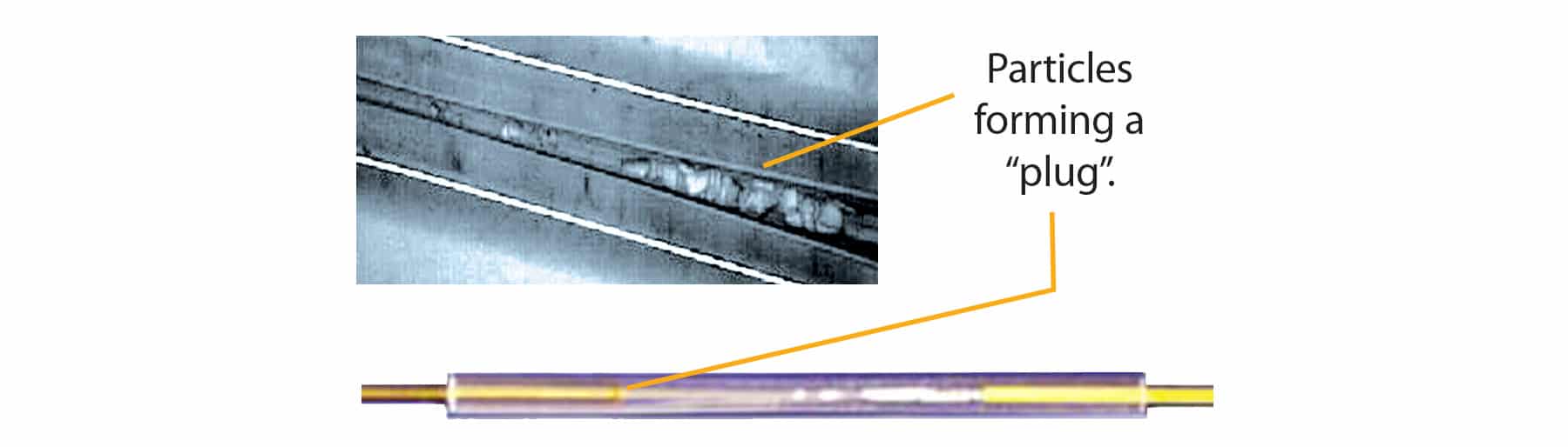 figure article PCSS1163G 01