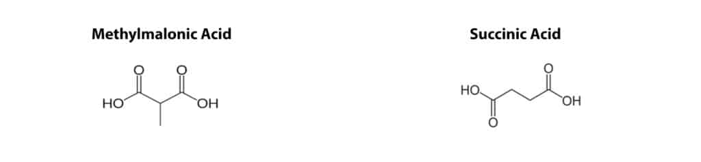Method for the Simultaneous Analysis of Methionine Pathway Metabolites and Methylmalonic Acid - figure article cfan3992 02