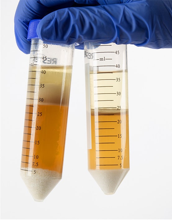 figure article fsar3866 02a