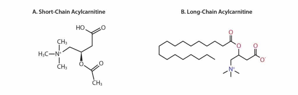 LC-MS/MS Analysis of 25 Underivatized Acylcarnitines for Differential Diagnosis - figure article cfan4029 02